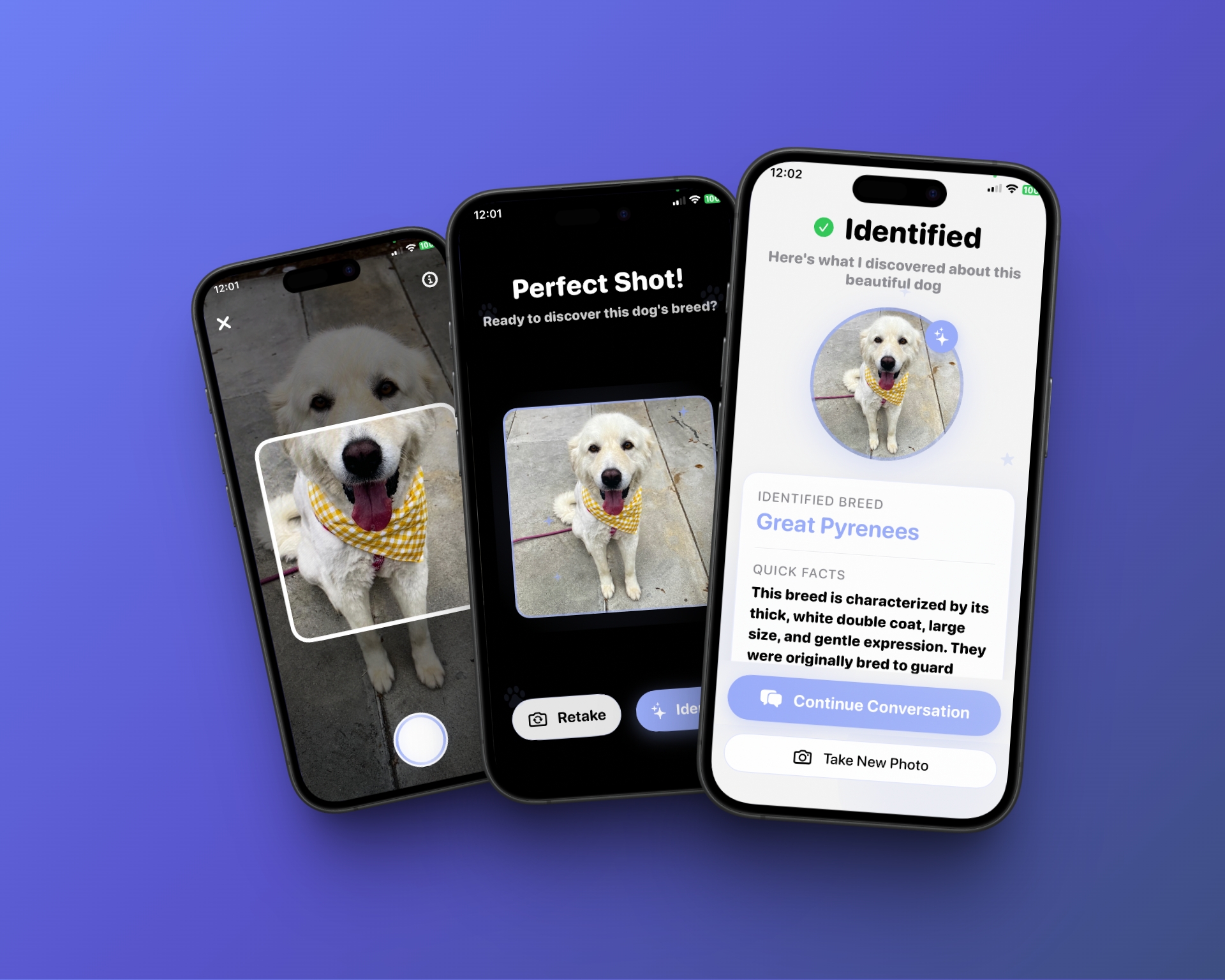 Barky Dog Breed Identifier App showing three iPhone screens with dog breed identification interface, scanning feature, and breed results